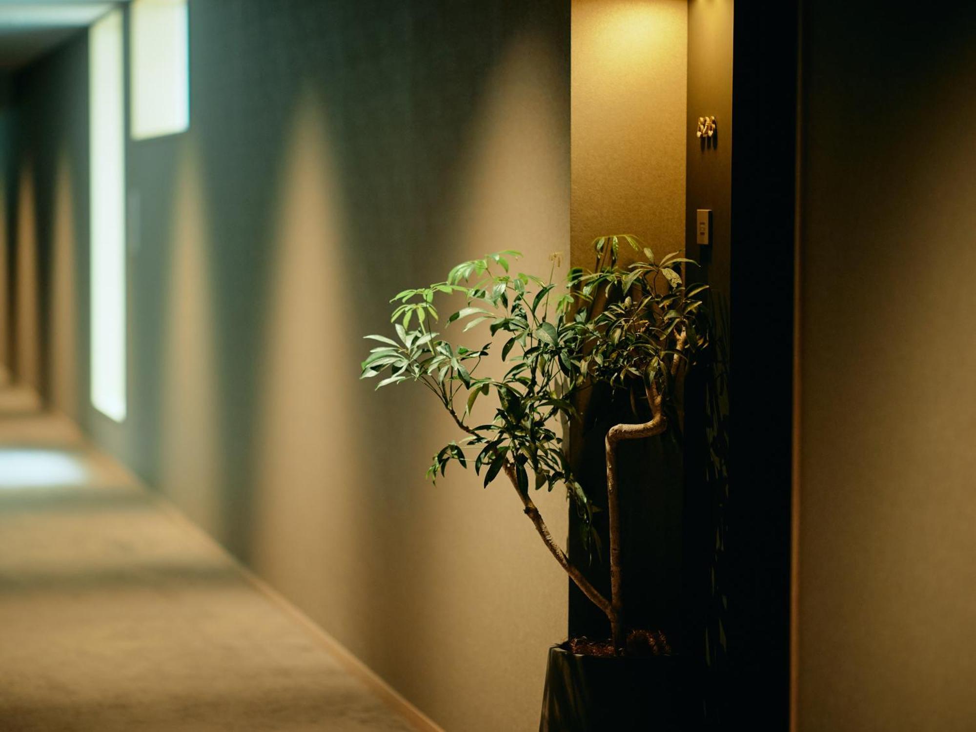 Good Nature Hotel Kioto Habitación foto A corridor in a hotel