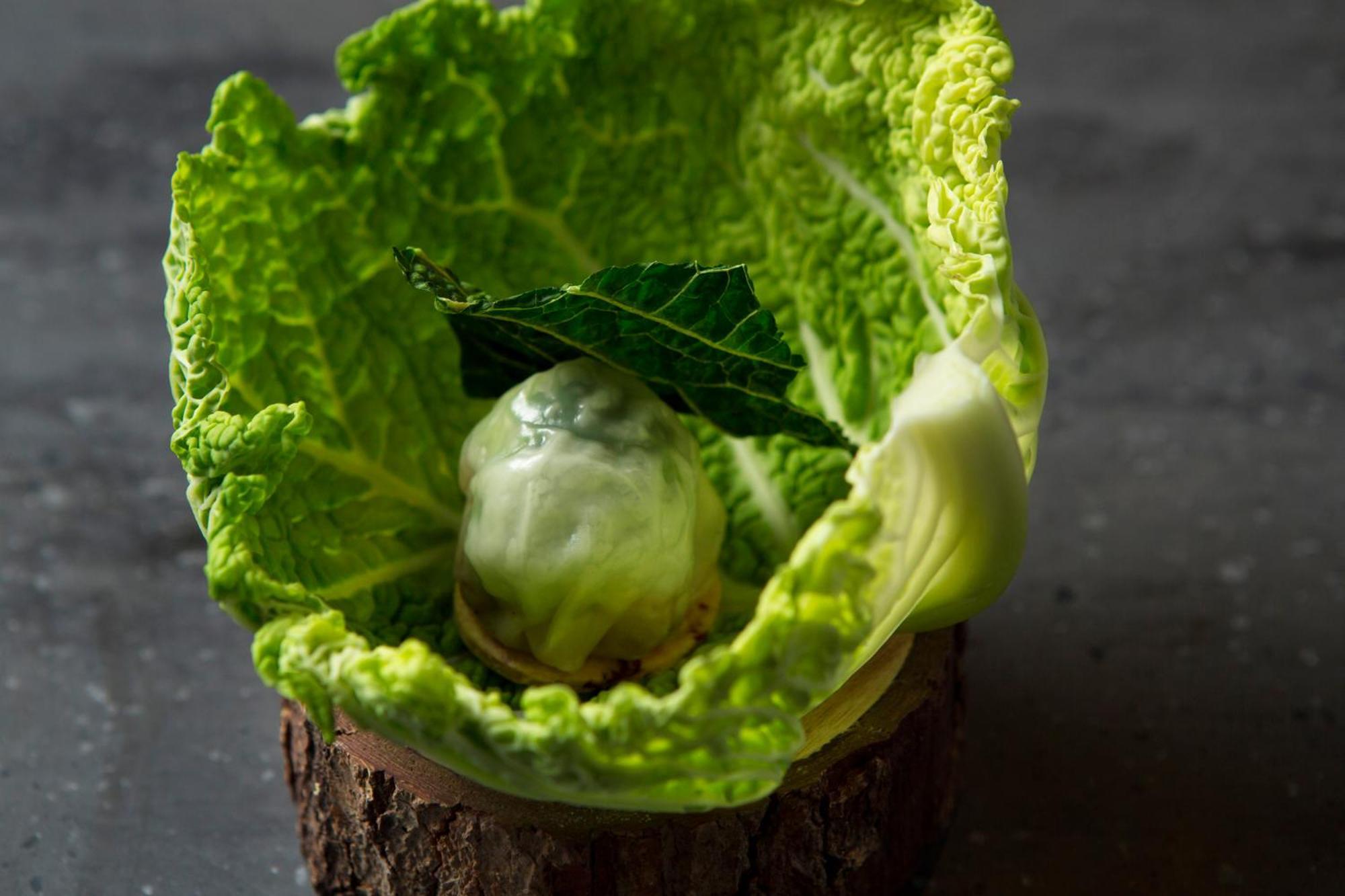 Good Nature Hotel Kioto Exterior foto A cabbage leaf with a ball of ice